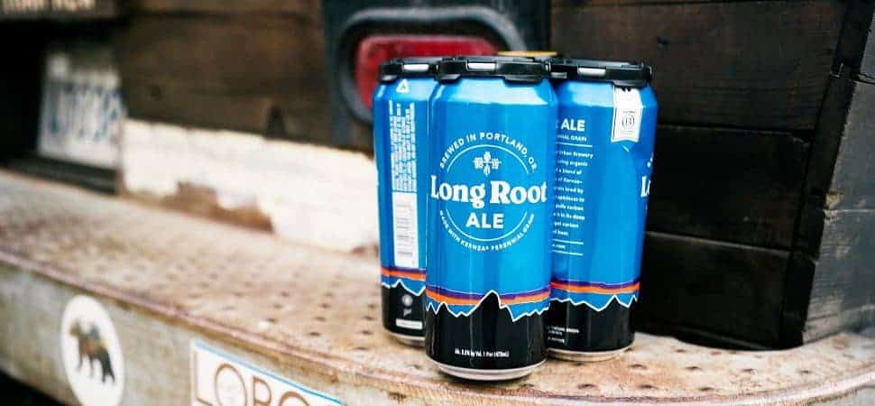 Long Root Ale