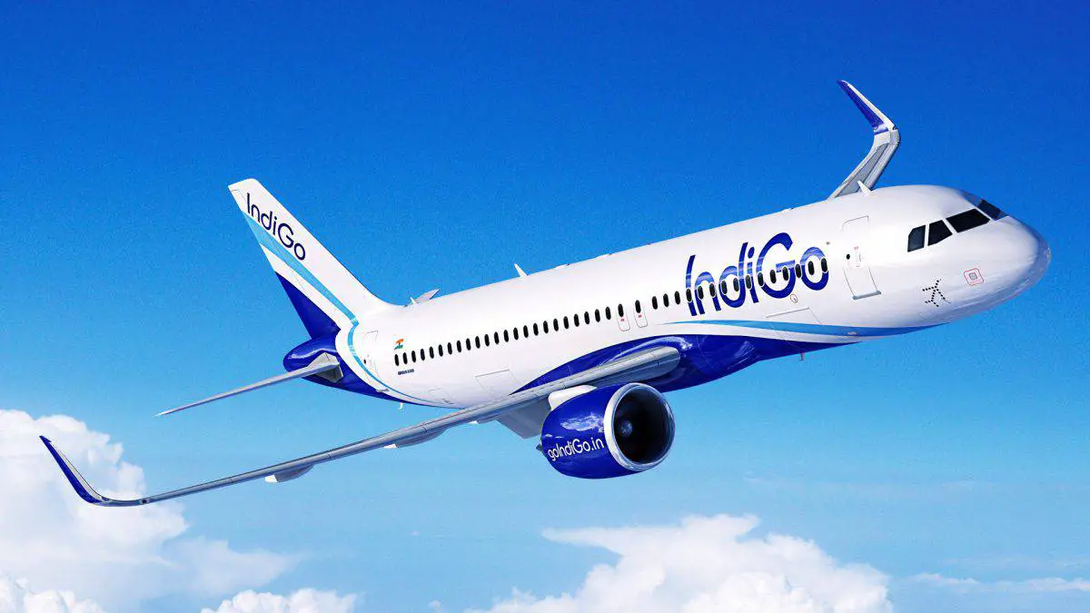 Image result for indigo airlines