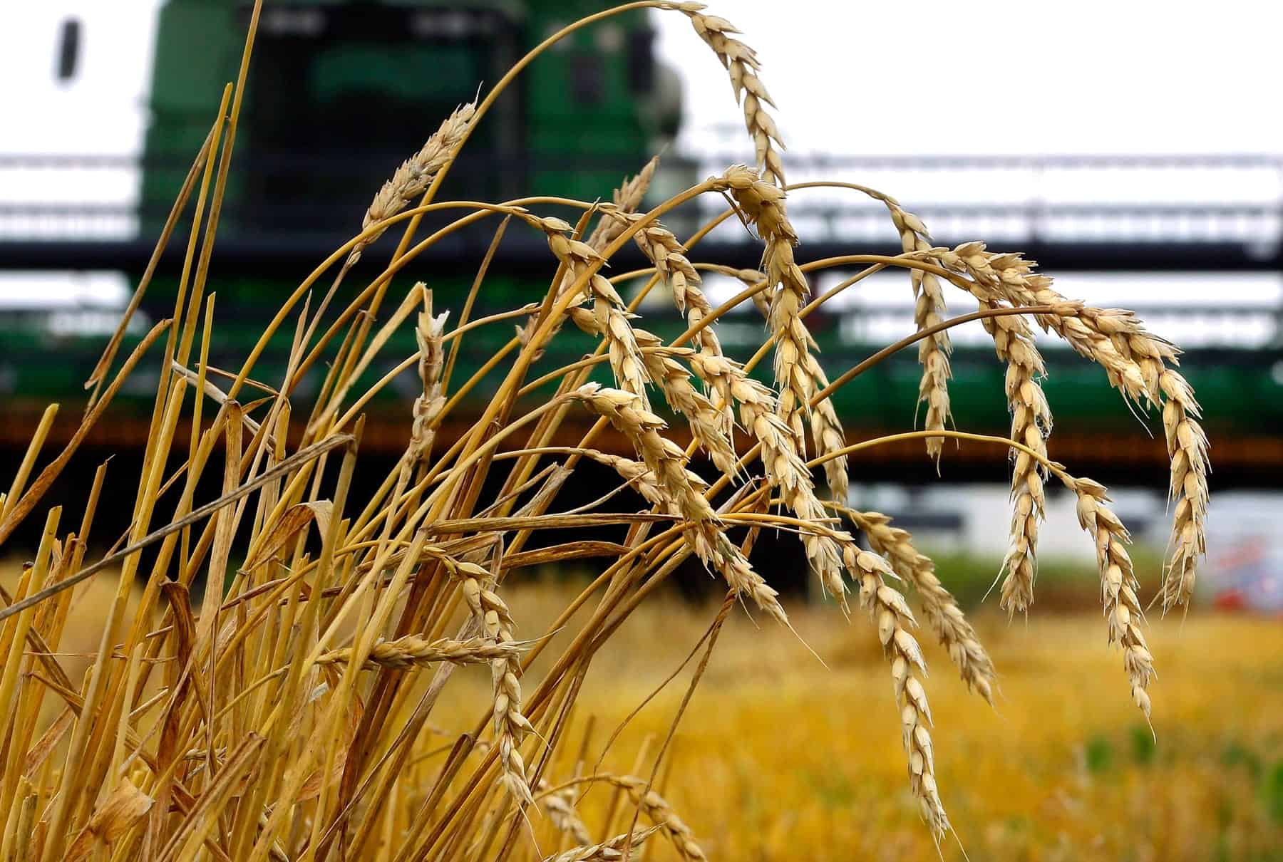 Nuwave Channel Partners unveils plans for powered by eKO:sense range which uses reclaimed wheat stalk to reduce plastic usage by 35% Featured Image
